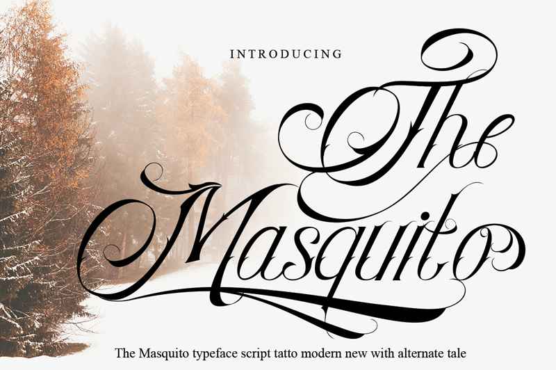 The Masquito