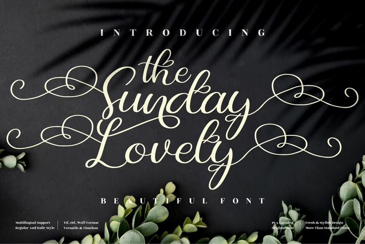 the Sunday Lovely