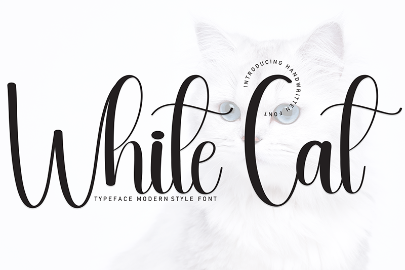 White Cat