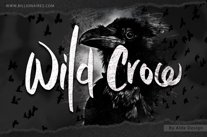 Wild Crow